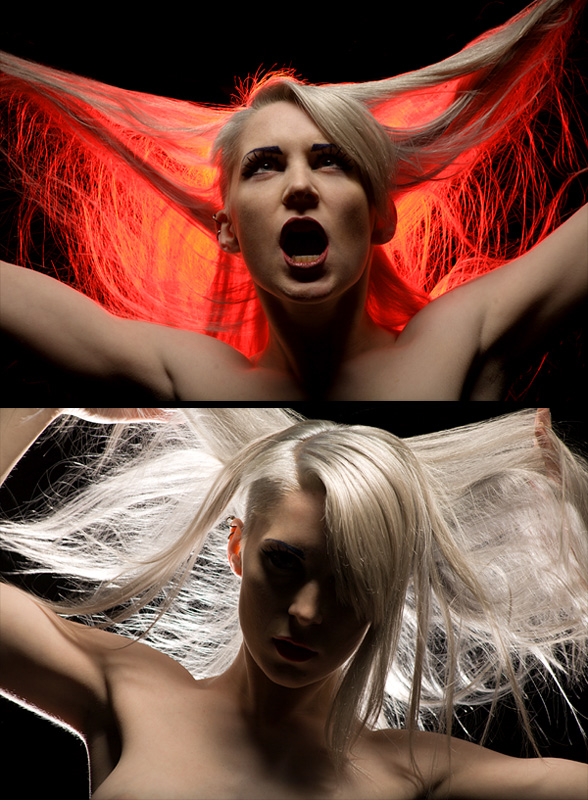 hair-2panel-web800.jpg hair-2panel-web800.jpg