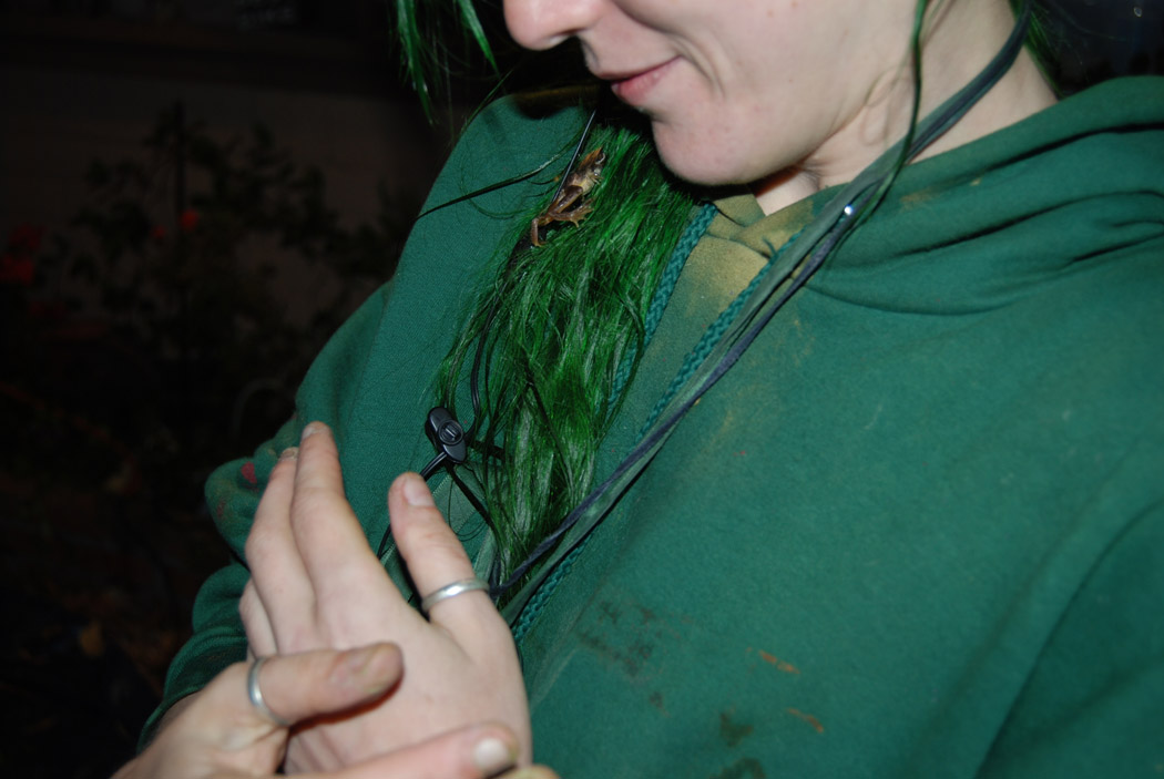 wendy frog pet.jpg wendy frog pet.jpg