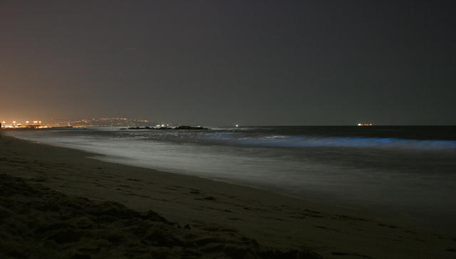 Blue Tides (unedited picture, not a camera effect - yes, the water was really glowing blue)